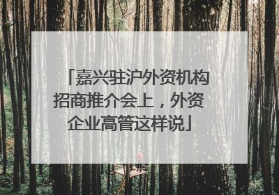 嘉兴驻沪外资机构招商推介会上，外资企业高管这样说