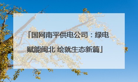国网南平供电公司：绿电赋能闽北 绘就生态新篇