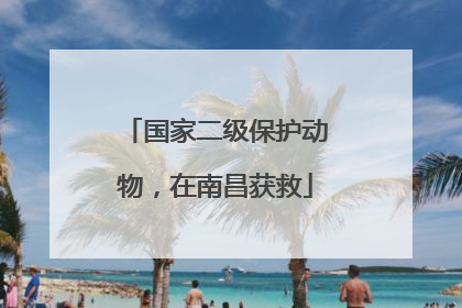 国家二级保护动物，在南昌获救