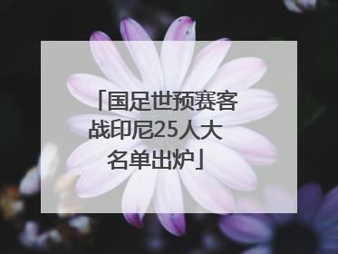 国足世预赛客战印尼25人大名单出炉