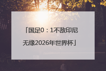 国足0：1不敌印尼 无缘2026年世界杯