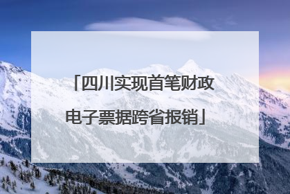 四川实现首笔财政电子票据跨省报销