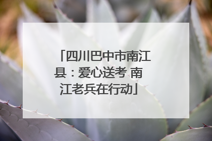 四川巴中市南江县：爱心送考 南江老兵在行动