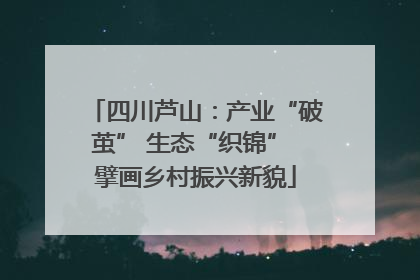 四川芦山：产业“破茧” 生态“织锦” 擘画乡村振兴新貌