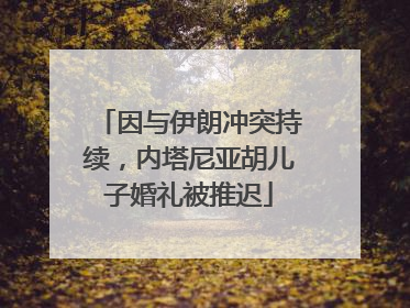因与伊朗冲突持续，内塔尼亚胡儿子婚礼被推迟