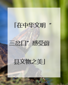 在中华文明“三岔口”感受蔚县文物之美