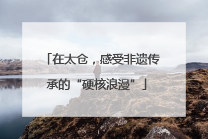 在太仓，感受非遗传承的“硬核浪漫”