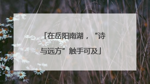 在岳阳南湖，“诗与远方”触手可及