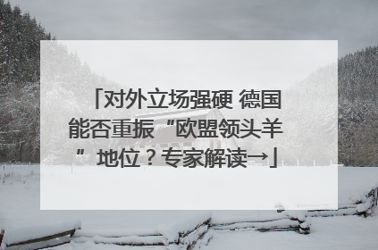 对外立场强硬 德国能否重振“欧盟领头羊”地位？专家解读→