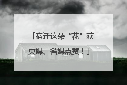 宿迁这朵“花”获央媒、省媒点赞!