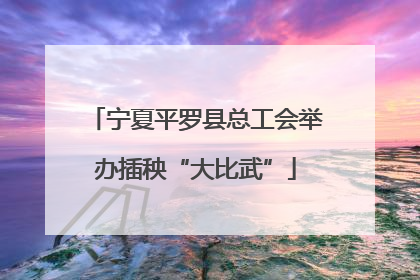 宁夏平罗县总工会举办插秧“大比武”