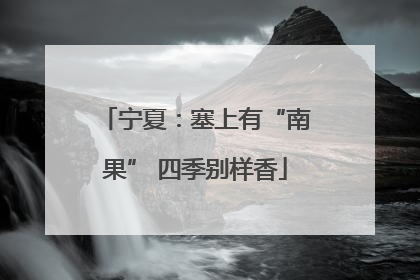 宁夏：塞上有“南果” 四季别样香