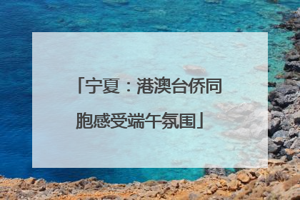 宁夏：港澳台侨同胞感受端午氛围