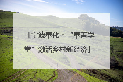 宁波奉化：“奉菁学堂”激活乡村新经济