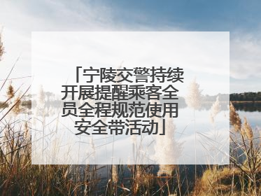 宁陵交警持续开展提醒乘客全员全程规范使用安全带活动