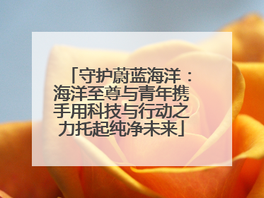 守护蔚蓝海洋：海洋至尊与青年携手用科技与行动之力托起纯净未来