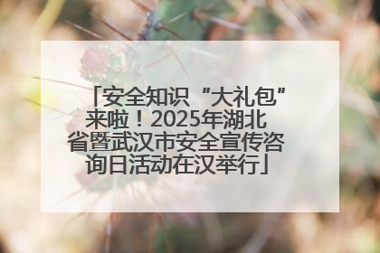安全知识“大礼包”来啦！2025年湖北省暨武汉市安全宣传咨询日活动在汉举行
