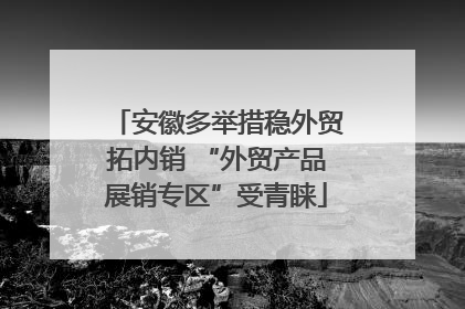 安徽多举措稳外贸拓内销 “外贸产品展销专区”受青睐