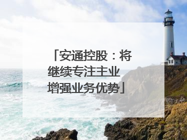安通控股：将继续专注主业 增强业务优势