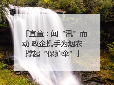 宜章：闻“汛”而动 政企携手为烟农撑起“保护伞”