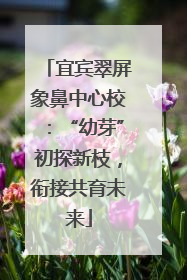 宜宾翠屏象鼻中心校：“幼芽”初探新枝，衔接共育未来
