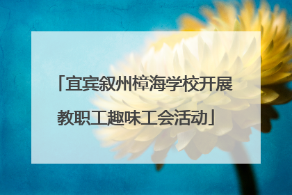 宜宾叙州樟海学校开展教职工趣味工会活动