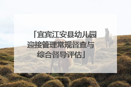 宜宾江安县幼儿园迎接管理常规督查与综合督导评估