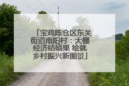 宝鸡陈仓区东关街道南阳村：大棚经济结硕果 绘就乡村振兴新图景