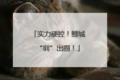 实力硬控！鲤城“圳”出圈！