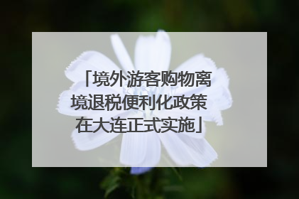 境外游客购物离境退税便利化政策在大连正式实施