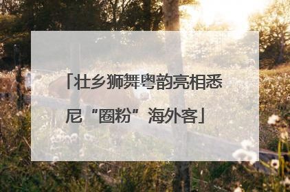 壮乡狮舞粤韵亮相悉尼“圈粉”海外客
