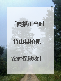 夏播正当时 竹山县抢抓农时保秋收