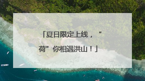 夏日限定上线，“荷”你相遇洪山！