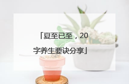 夏至已至，20字养生要诀分享