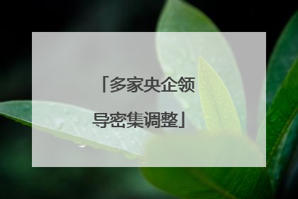多家央企领导密集调整