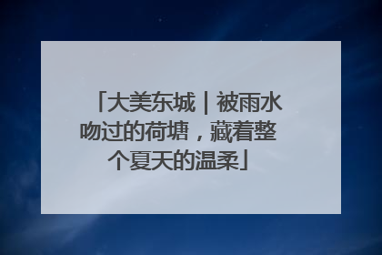 大美东城｜被雨水吻过的荷塘，藏着整个夏天的温柔