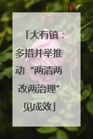 大有镇：多措并举推动“两清两改两治理”见成效