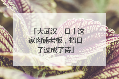 大武汉一日︱这家肉铺老板，把日子过成了诗
