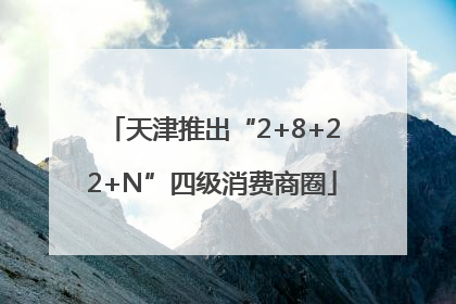 天津推出“2+8+22+N”四级消费商圈