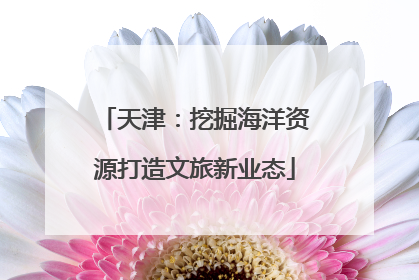 天津：挖掘海洋资源打造文旅新业态