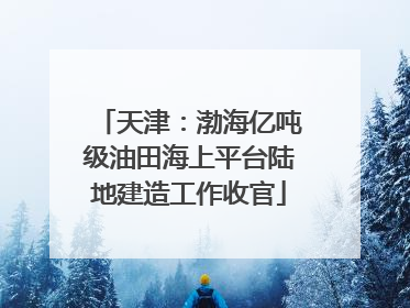 天津：渤海亿吨级油田海上平台陆地建造工作收官