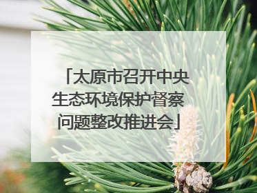 太原市召开中央生态环境保护督察问题整改推进会