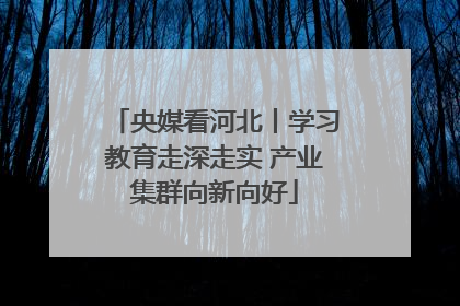央媒看河北丨学习教育走深走实 产业集群向新向好