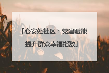 心安处社区：党建赋能 提升群众幸福指数