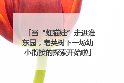 当“虹猫娃”走进淮东园，皂荚树下一场幼小衔接的探索开始啦