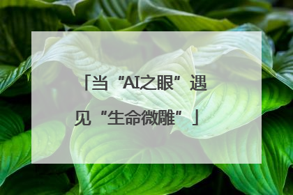 当“AI之眼”遇见“生命微雕”