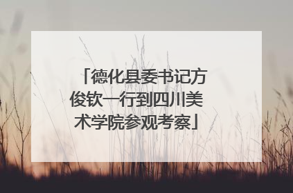 德化县委书记方俊钦一行到四川美术学院参观考察
