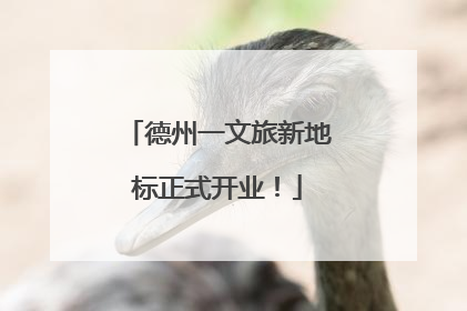 德州一文旅新地标正式开业！