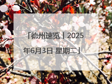 德州速览丨2025年6月3日 星期二
