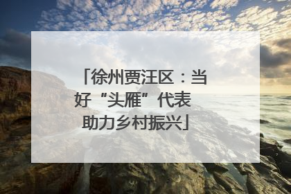 徐州贾汪区：当好“头雁”代表 助力乡村振兴